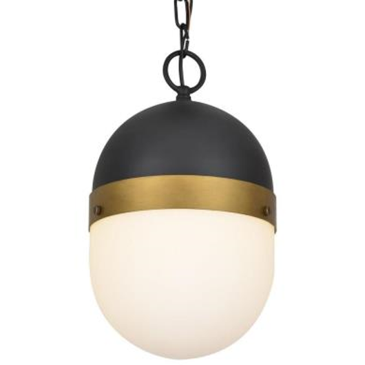 Picture of CAPSULE - ONE LIGHT OUTDOOR PENDANT