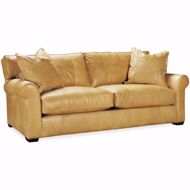 Picture of L7117-05 LEATHER QUEEN SLEEPER